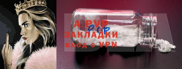 2c-b Пестово