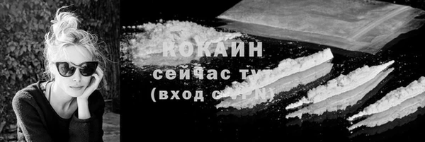 2c-b Пестово
