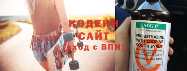 2c-b Пестово