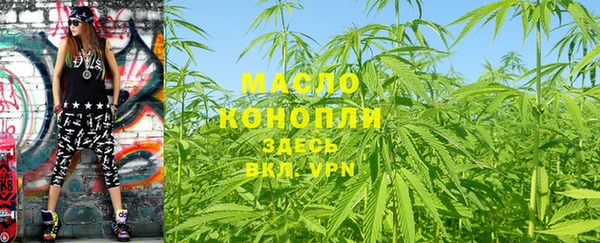 2c-b Пестово