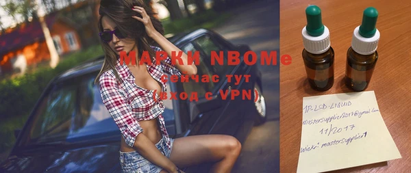 2c-b Пестово