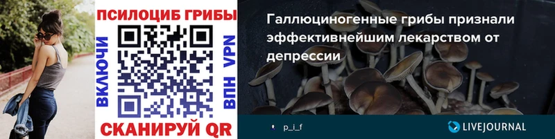 Галлюциногенные грибы Magic Shrooms  купить закладку  Орехово-Зуево 